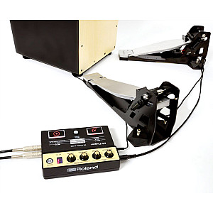 Roland EC10M ELCajon Mic Processor